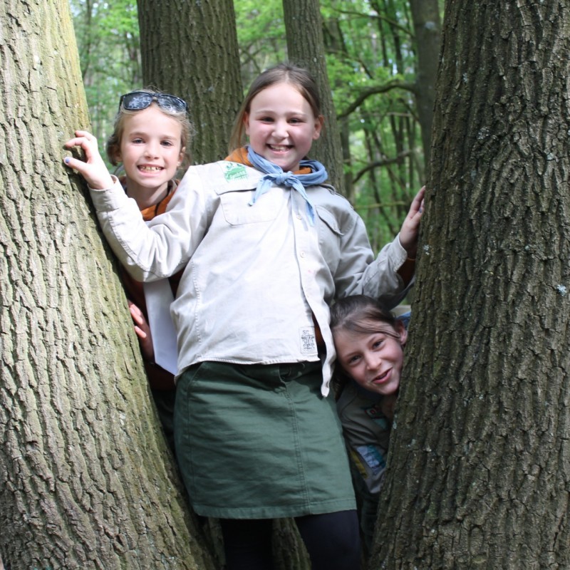 IMG 8853 - Scouts en Gidsen Zaventem 